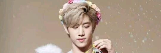 b banner