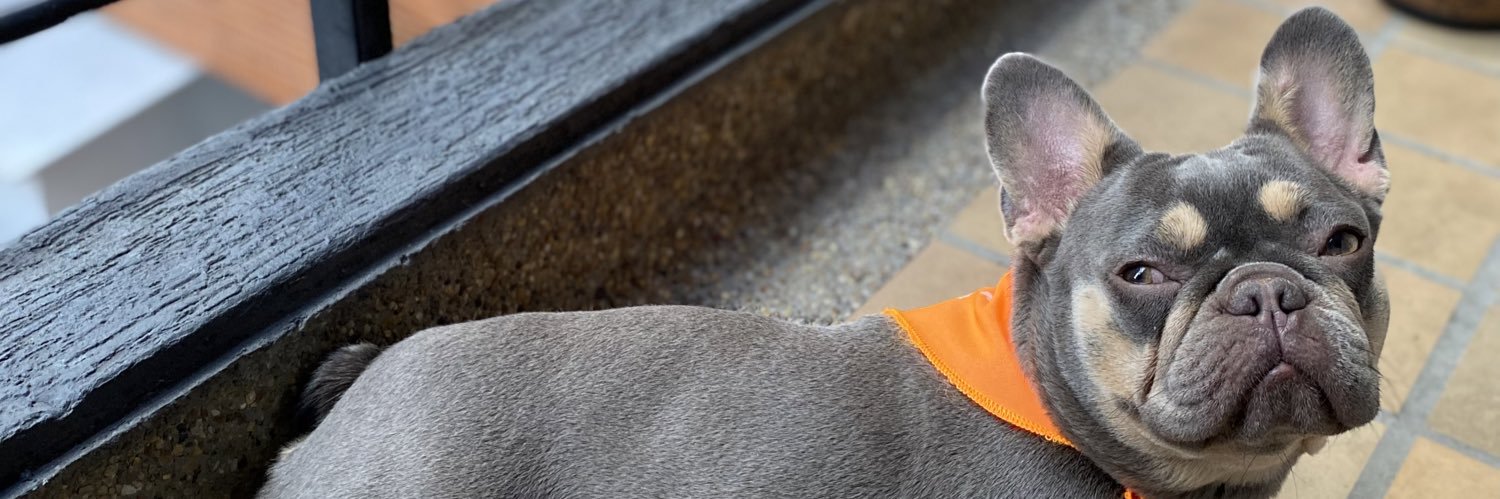 Snakemano 🇨🇴🇵🇹💙 banner