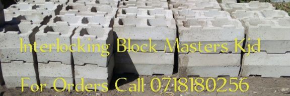 Peter Wa Interlocking blocks banner