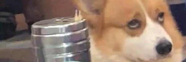 abap34 Profile Banner