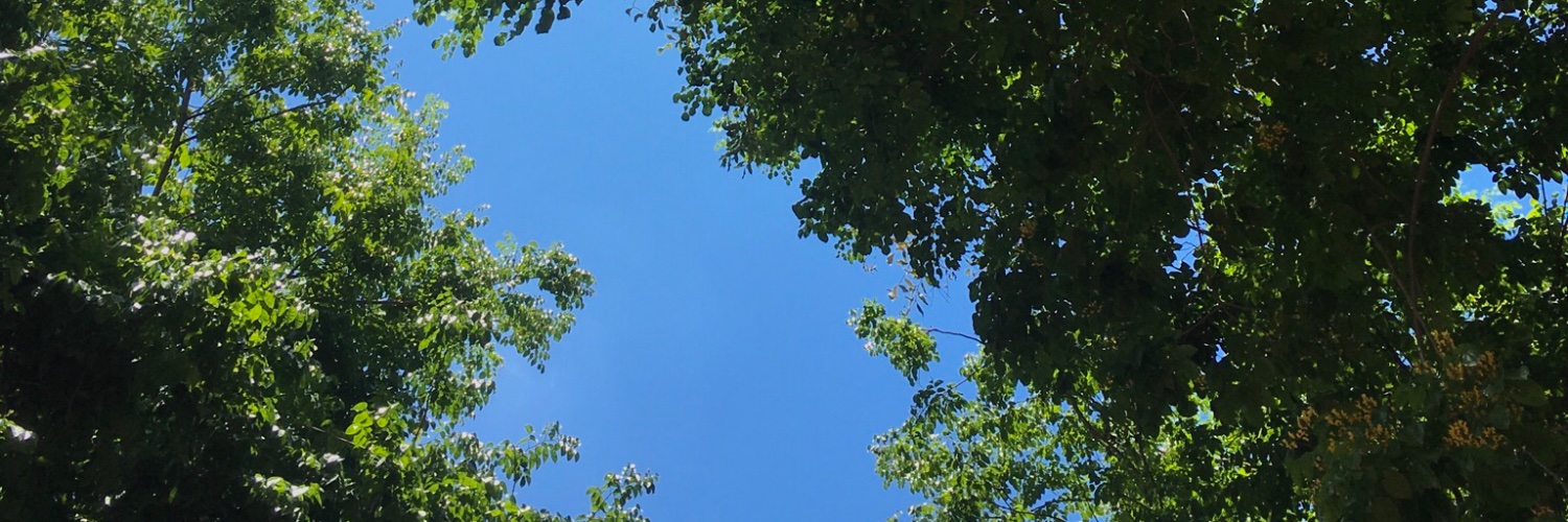 baguzlukman's profile banner image