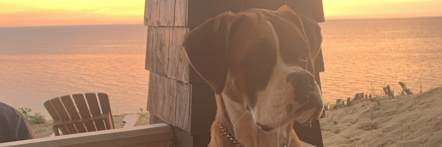 twiterlessmol's profile banner image