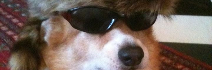Xhipest's profile banner image