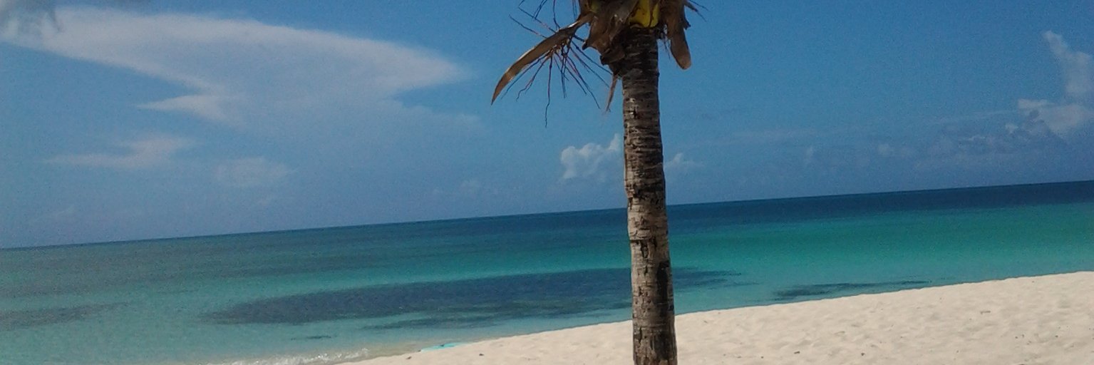 bdanay_'s profile banner image