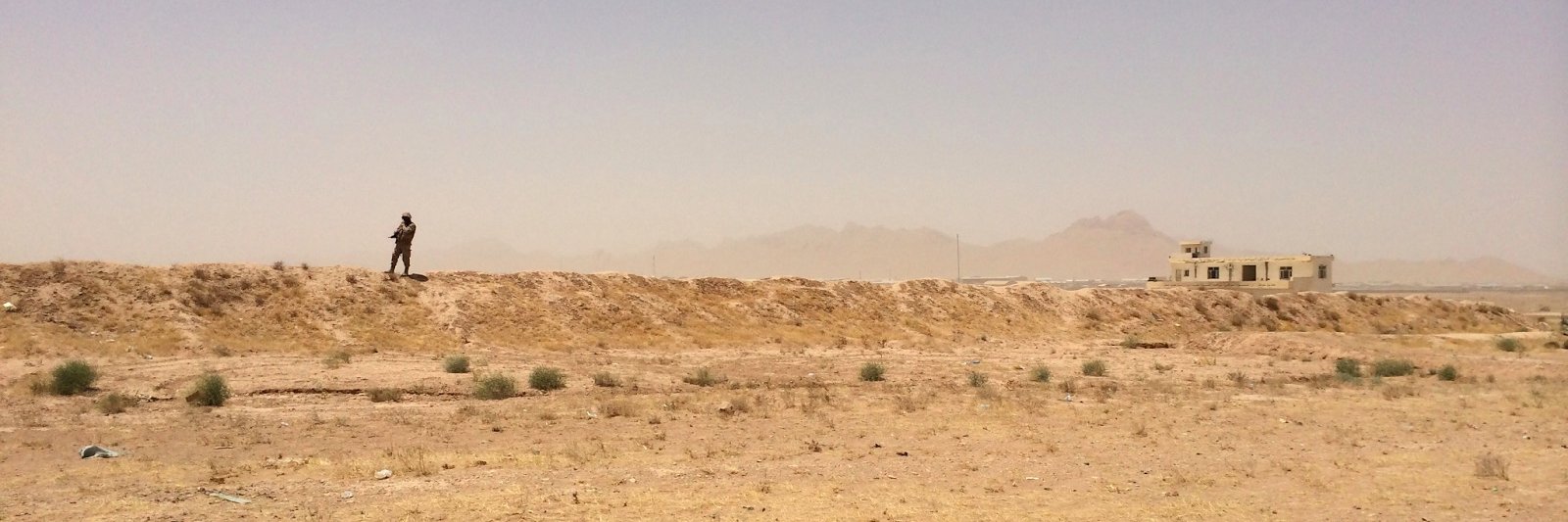 Lorenzo Silva banner