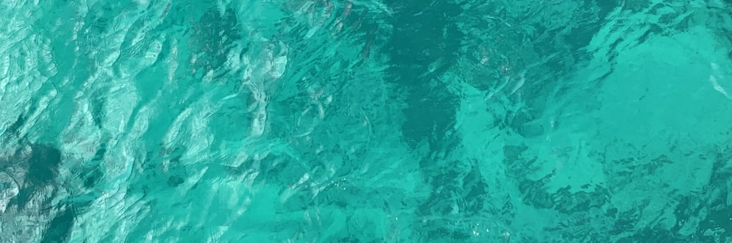 lusims9's profile banner image