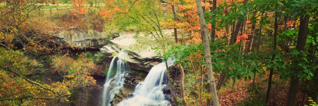 Induja Subramaniam banner