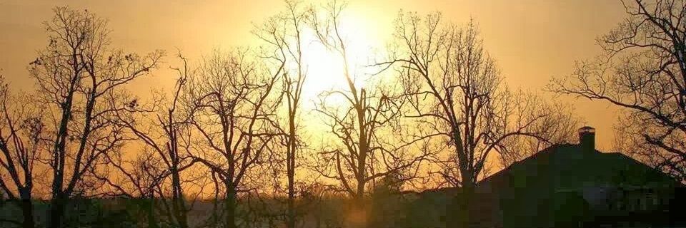 BretBolinger's profile banner image