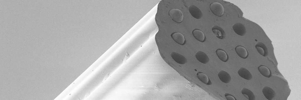 Michael Tanner banner