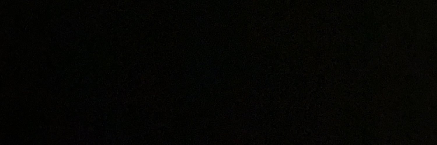liloscalloway's profile banner image