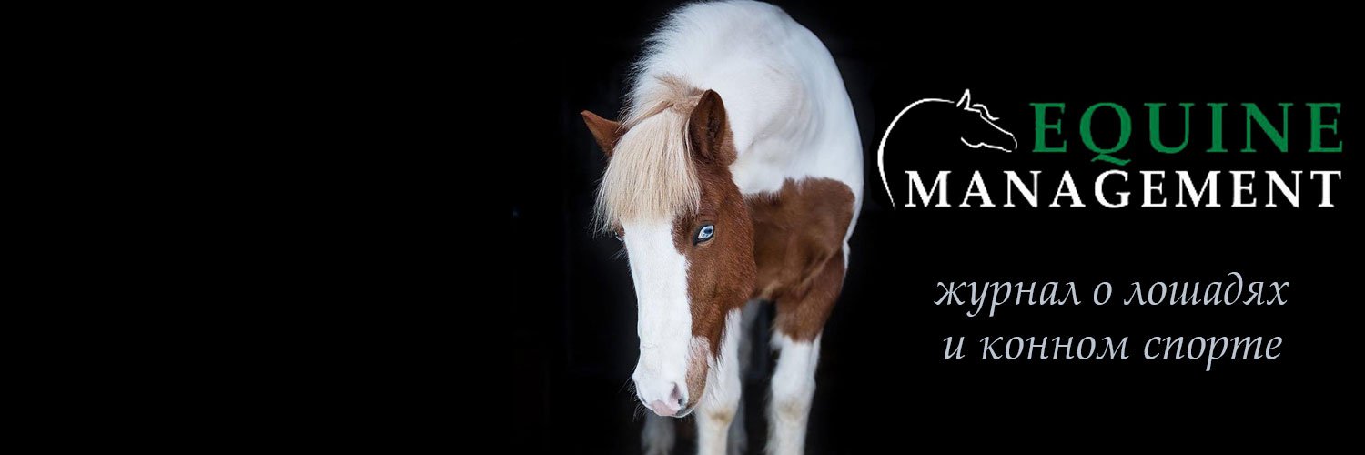 equinemanage's profile banner image
