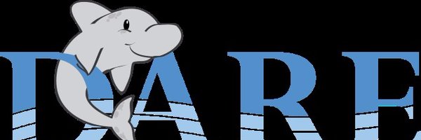 DareDolphins Profile Banner