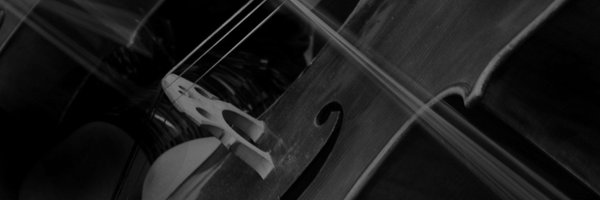 StrackOrchestra Profile Banner