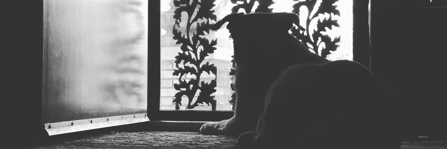 Will_Cecil's profile banner image