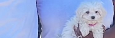 Literallymaddy_'s profile banner image
