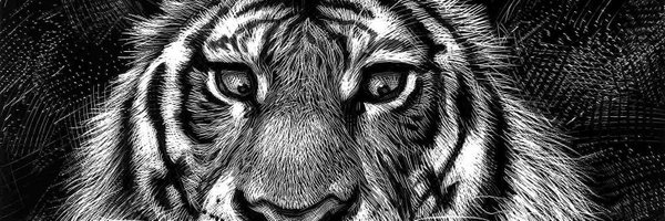 StevenCaldern9 Profile Banner