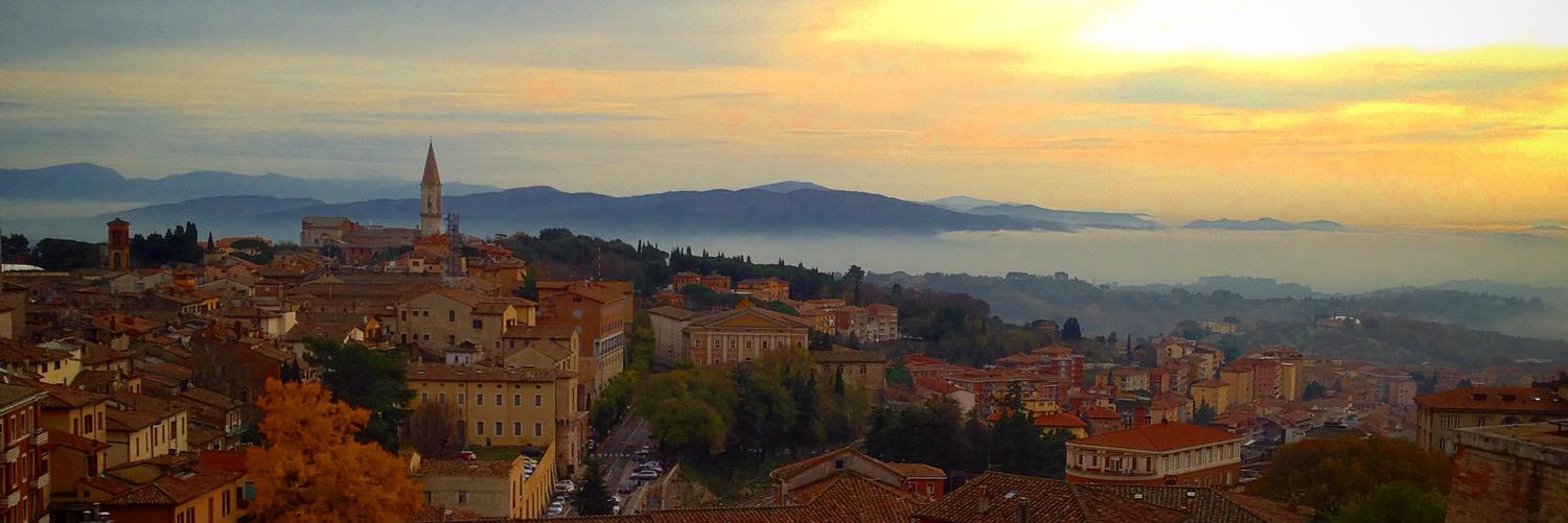 Dominic Giugliano banner