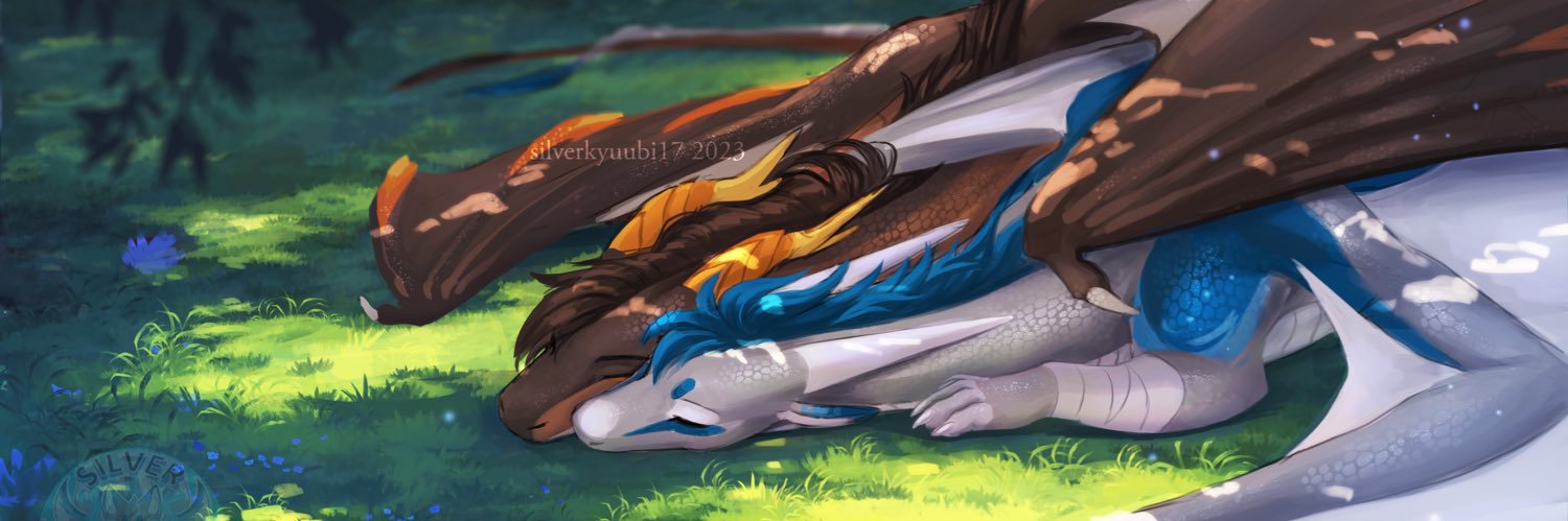 🐾Silver🌌's banner