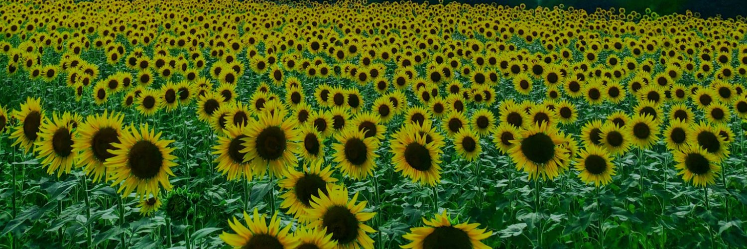kimi_spoon's profile banner image