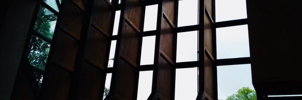 LibraryRobinson Profile Banner