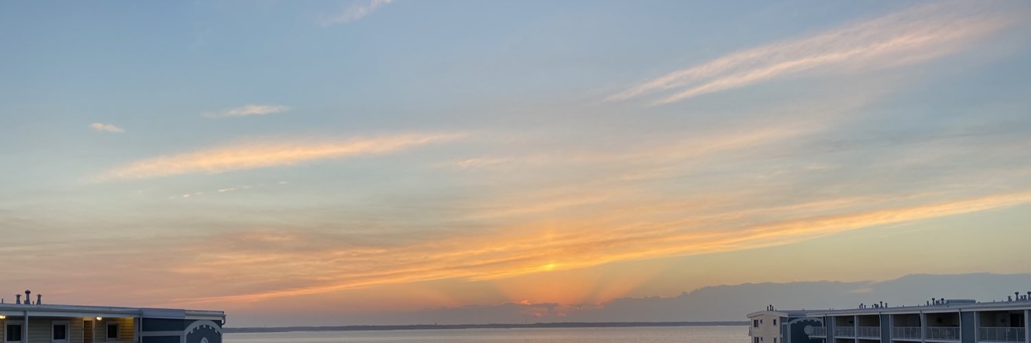 julia_stillman's profile banner image