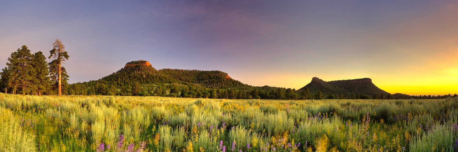 ConservationAlliance banner