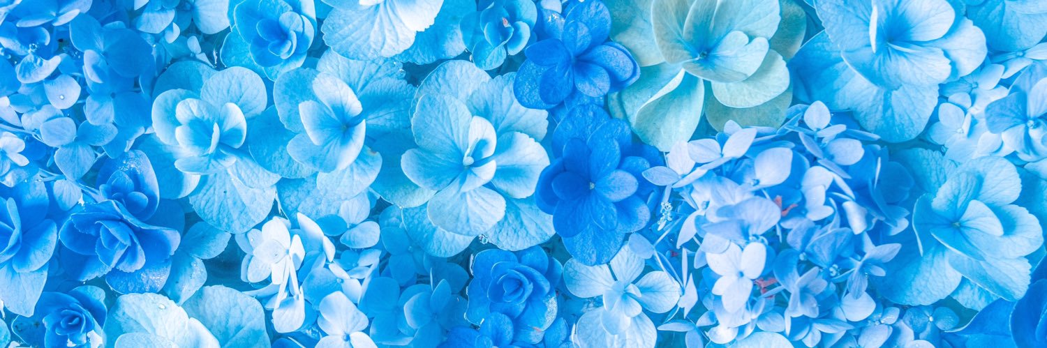 gswSCmarthaN's profile banner image
