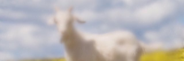 DylanMorris138's profile banner image