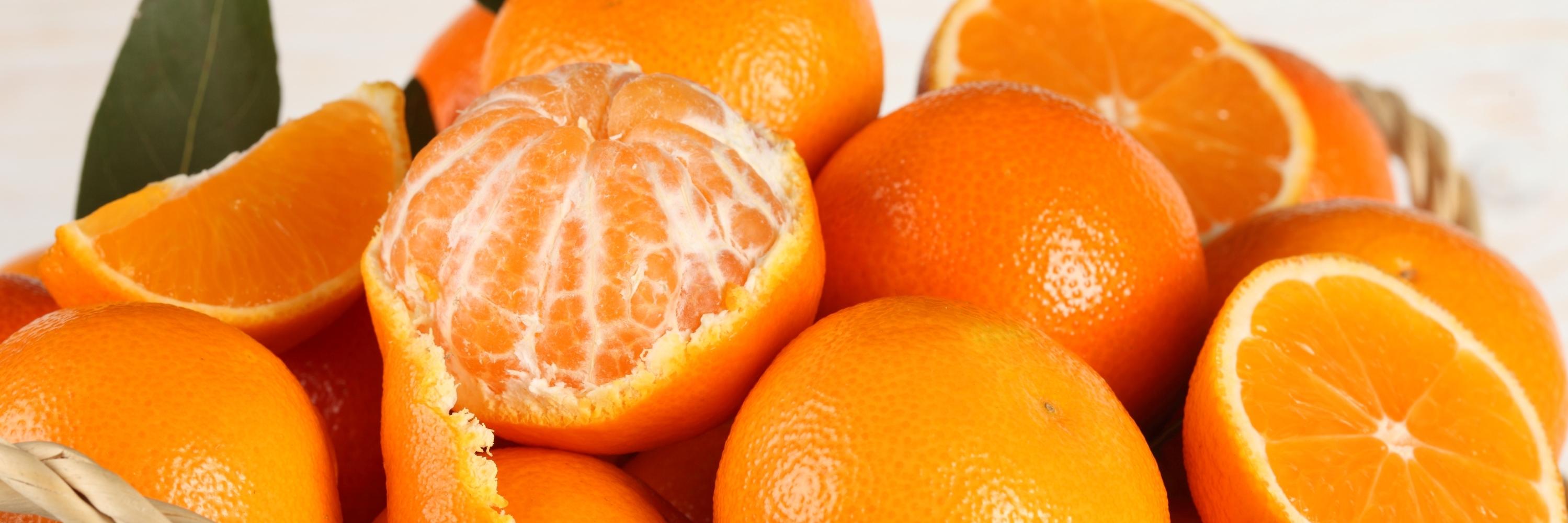 dijetanet's profile banner image