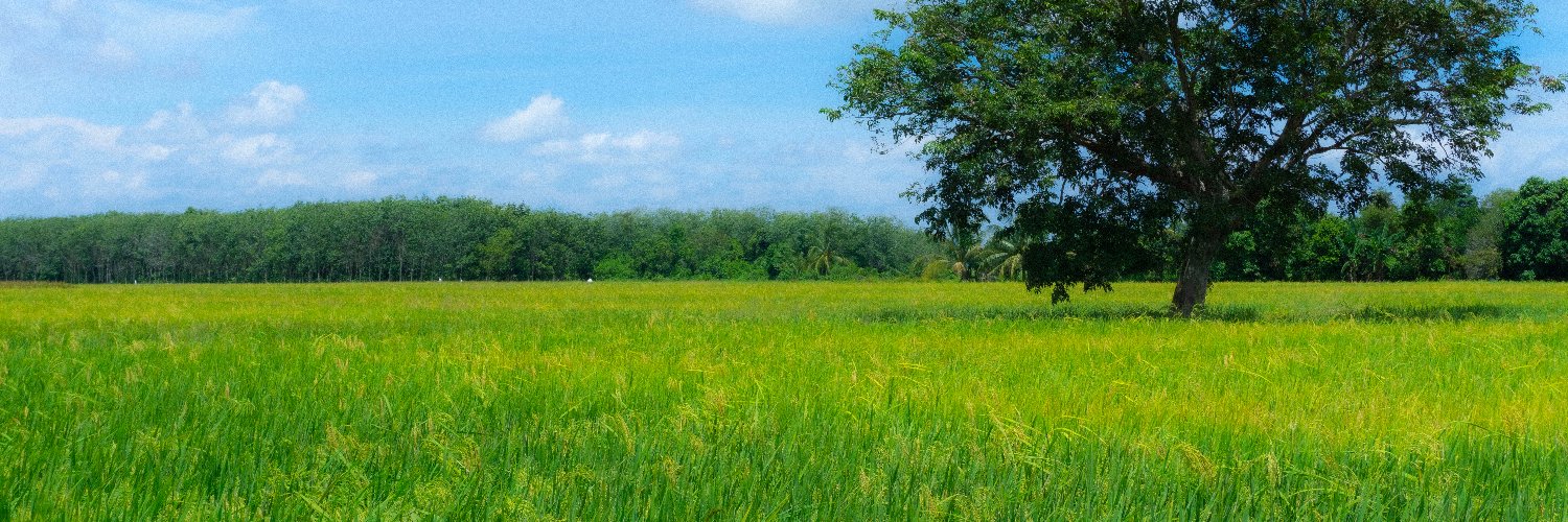 bean_crop's profile banner image