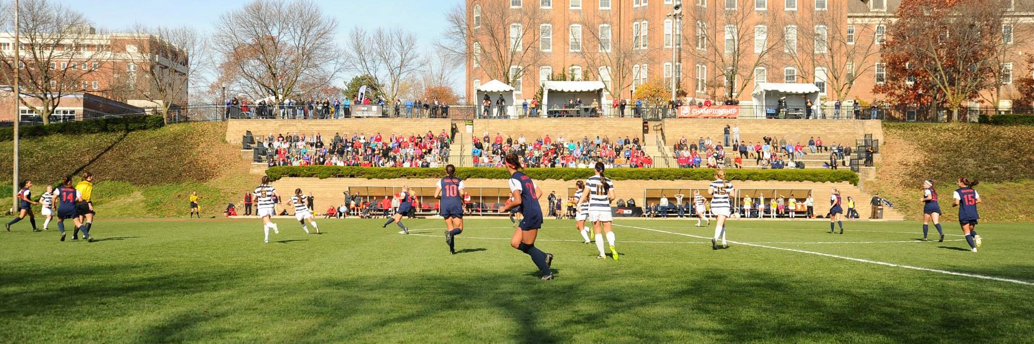 Brian Griesinger banner