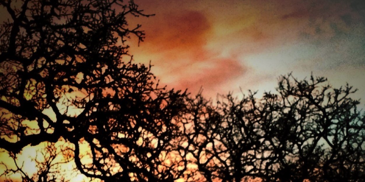 Papaconstantinou, MD banner