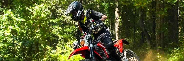 Trevor Phillips banner