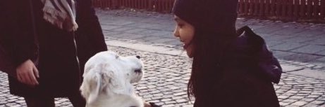 annatrotman's profile banner image