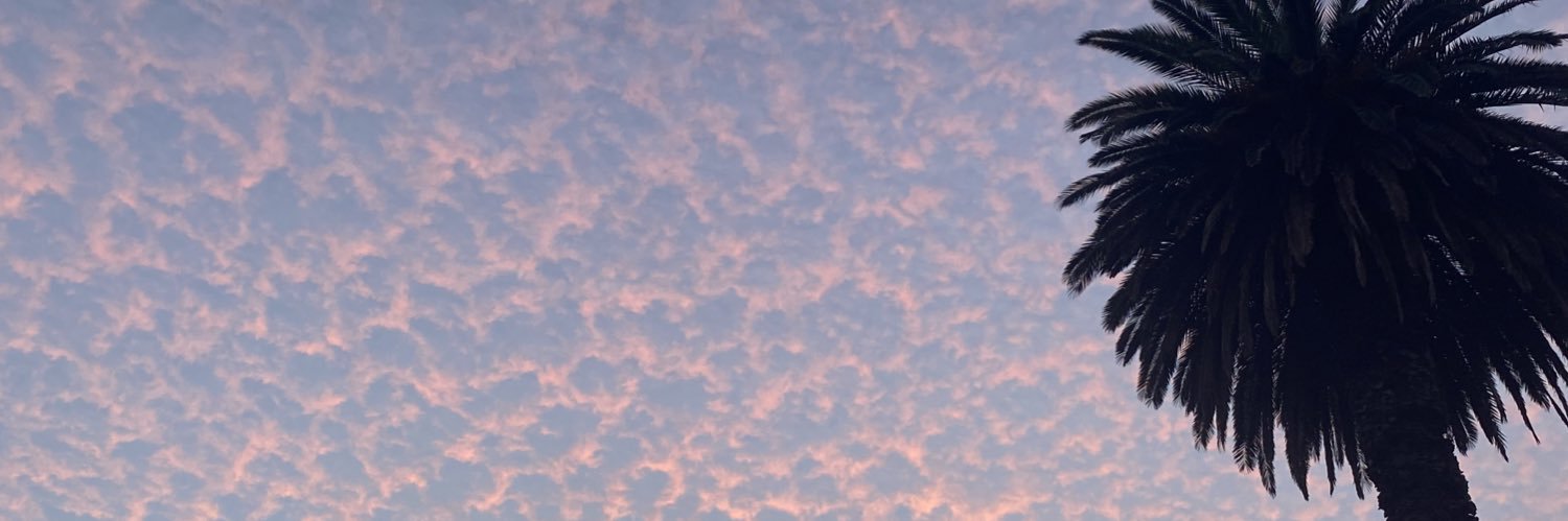 ssofiacostaa_'s profile banner image