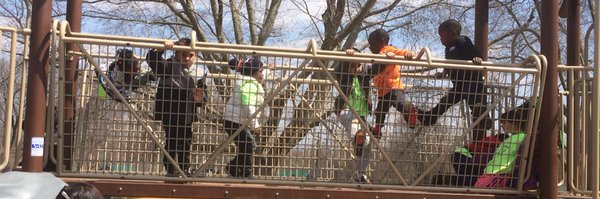 CcsPre Profile Banner