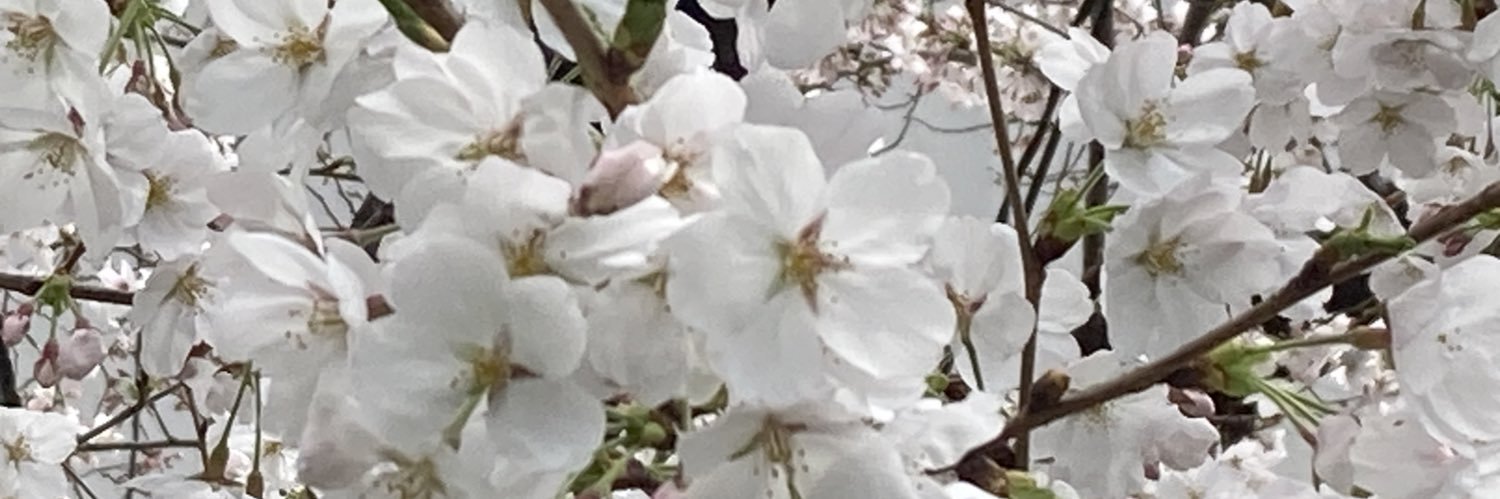 はっちゃん banner