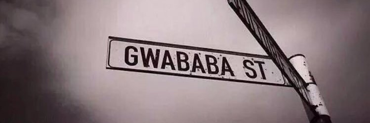 Ukuhlakanipha_kwaZuma's banner