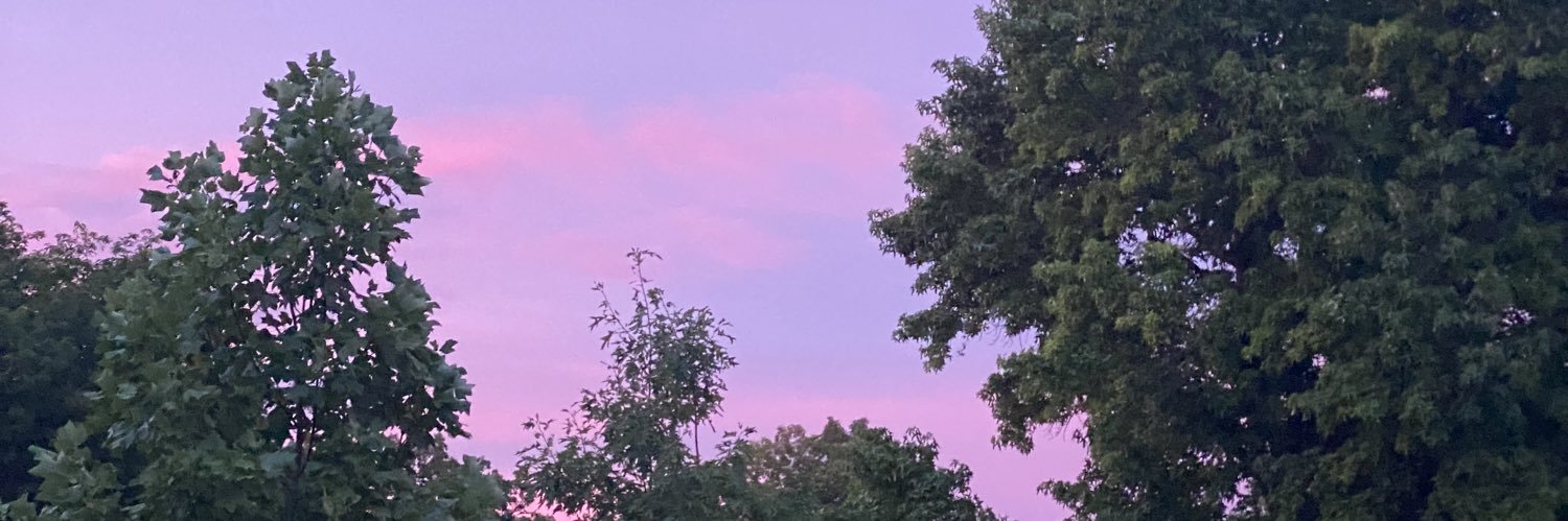 MDsharkattack banner