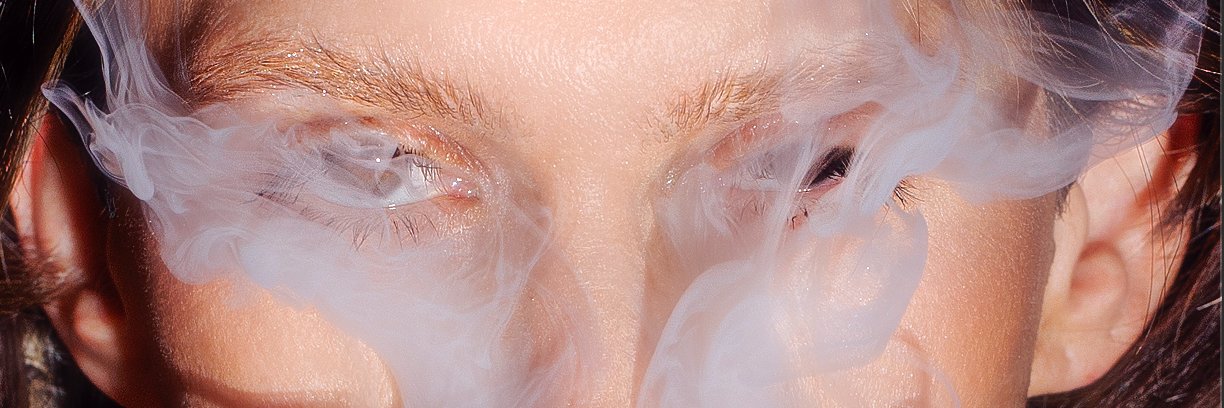 clarice lispector banner