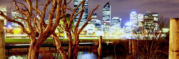 DanielGucciardi Profile Banner