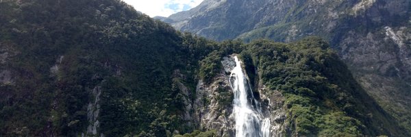 LDAW12 Profile Banner