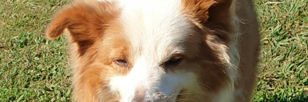 BodynodyT's profile banner image