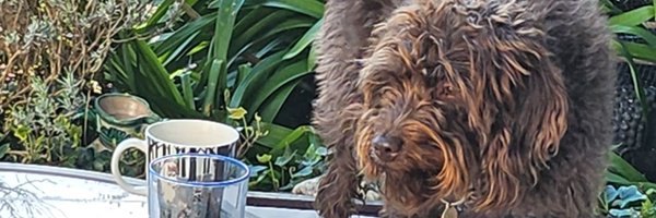 Jomo1966 Profile Banner