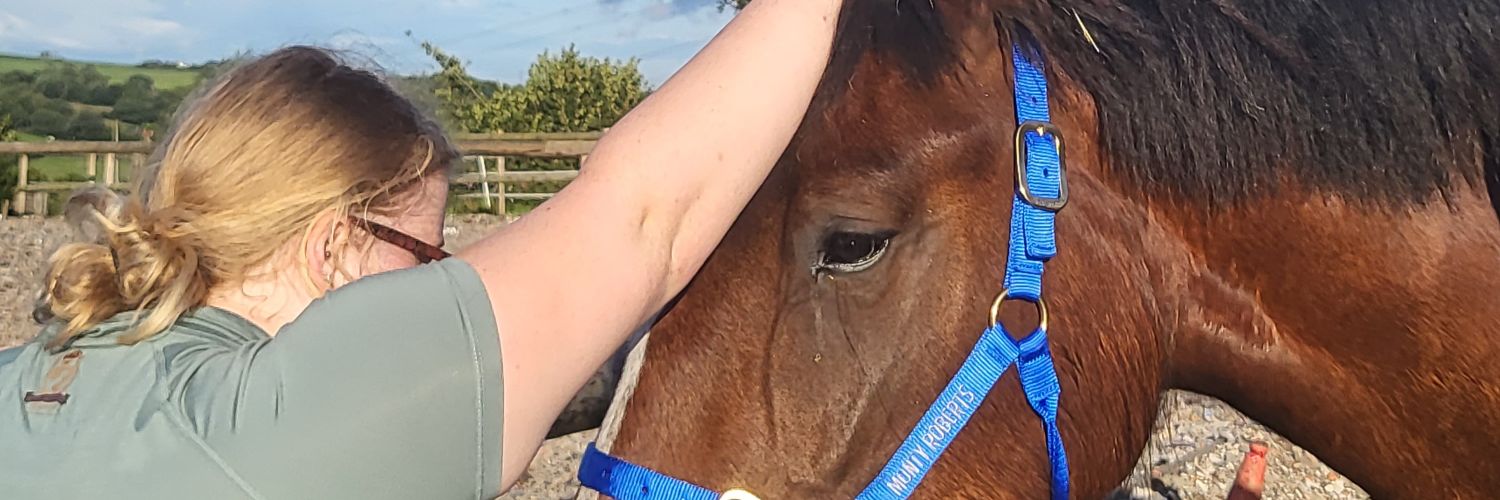 Sharrie Price banner