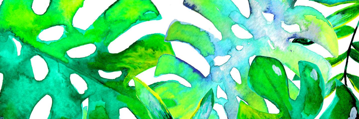 Ayya_Ann's profile banner image