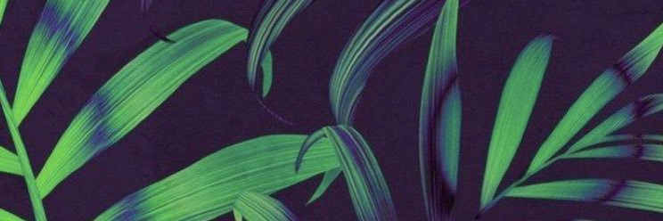 chamomenvar's profile banner image