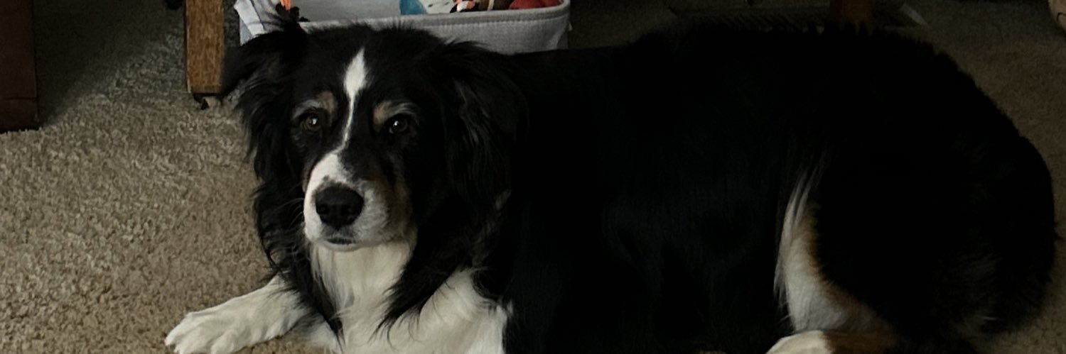 GallimoreKrista's profile banner image