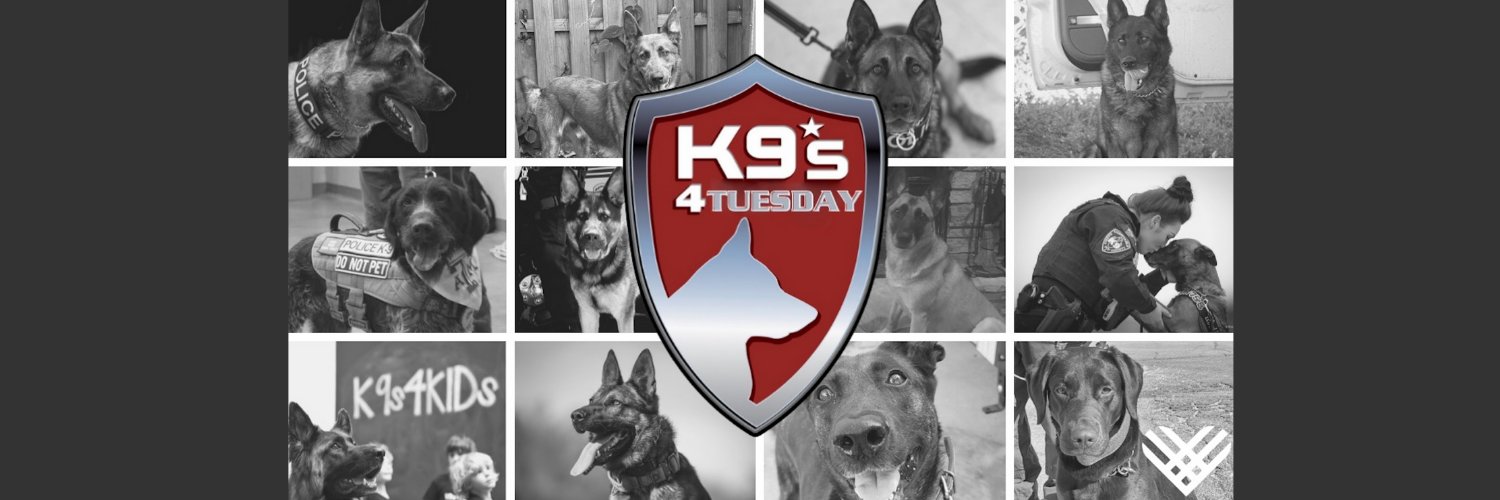 K9s4COPs & K9s4KIDs Profile Banner