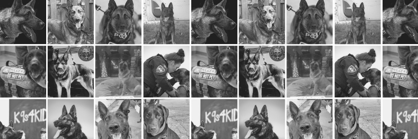 K9s.org banner